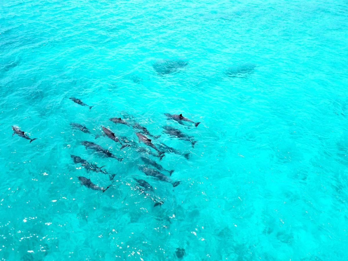 Athiri Beach Maldives Dhigurah  Exterior photo